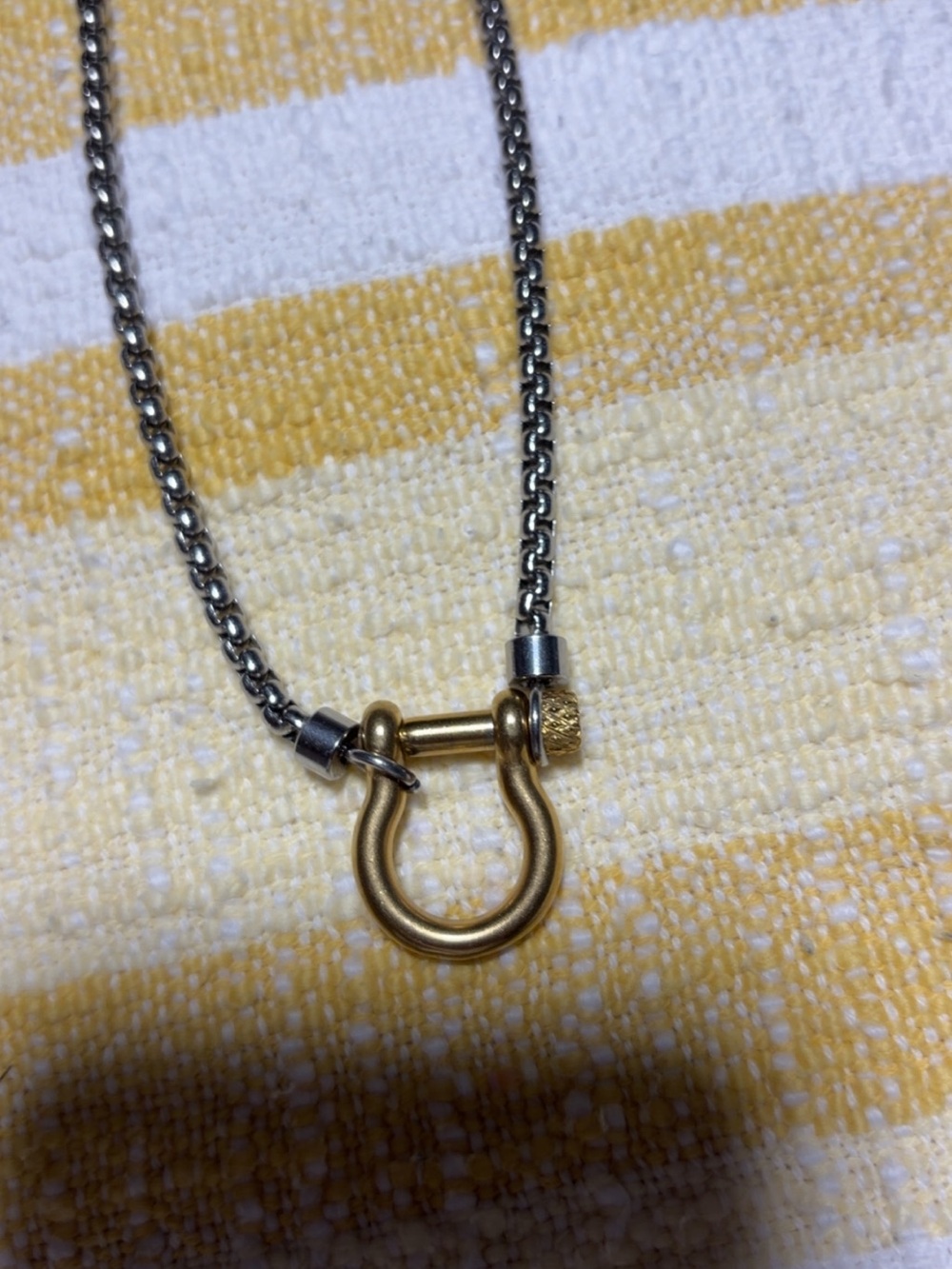 Gold-Tone Shackle Pendant Necklace in Silver Chain - Women's Accessories